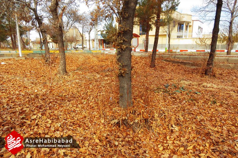 نفس های پایانی پاییز در شهر حبیب آباد