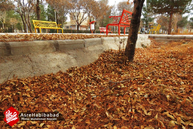 نفس های پایانی پاییز در شهر حبیب آباد