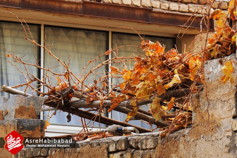 نفس های پایانی پاییز در شهر حبیب آباد
