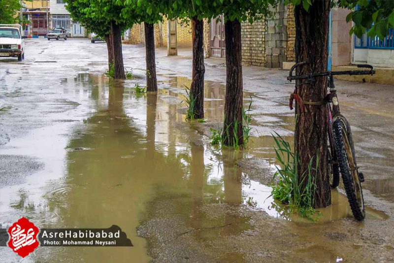آب گرفتگی معابر حبیب آباد پس از بارش شدید باران