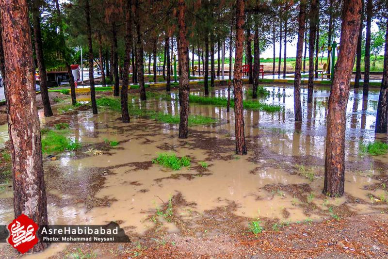 آب گرفتگی معابر حبیب آباد پس از بارش شدید باران