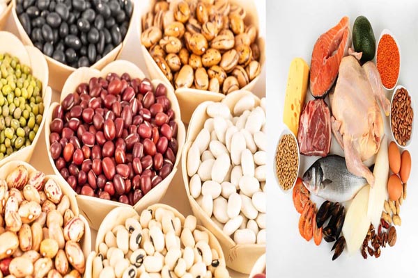 جایگزین گوشت / ۷ نوع لوبیا با ارزش غذایی بالا برای جایگزینی با گوشت