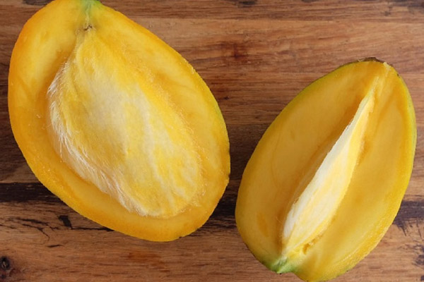 دانستنی‌هایی درباره هسته انبه