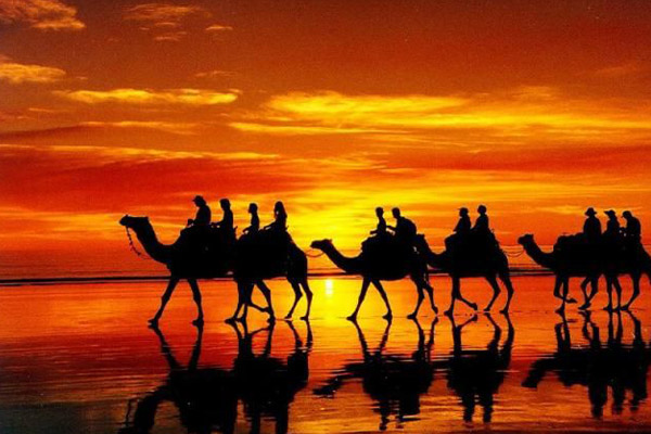 آنچه در روز پانزدهم ماه محرم بر اسرای واقعه عاشورا گذشت
