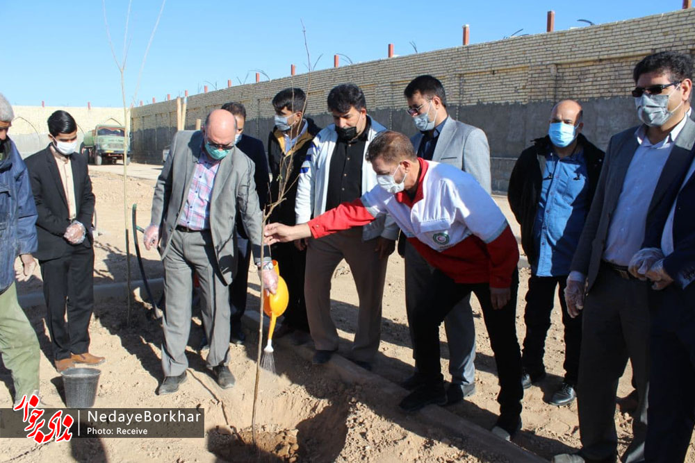۴۰ اصله نهال درخت در باغ بانوان دستگرد برخوار کاشته شد + تصاویر