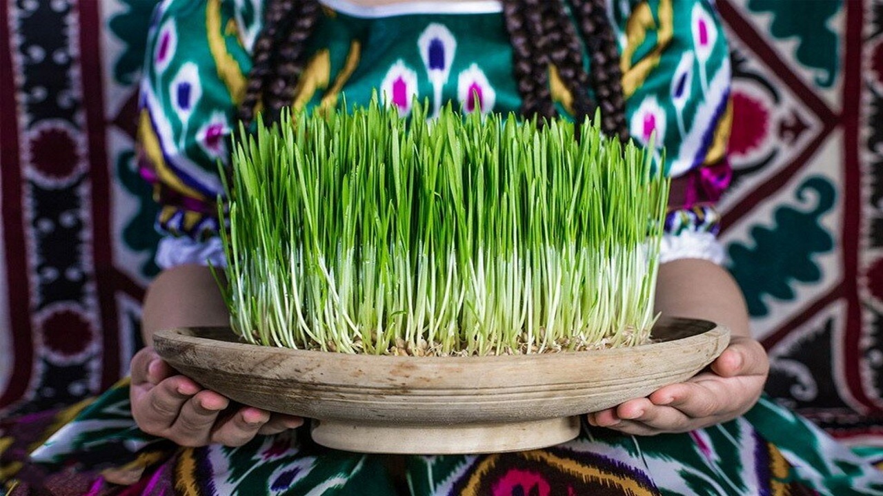 بهترین زمان برای کاشت سبزه عید نوروز با انواع دانه