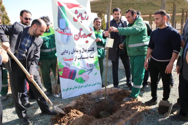 کاشت نهال درخت