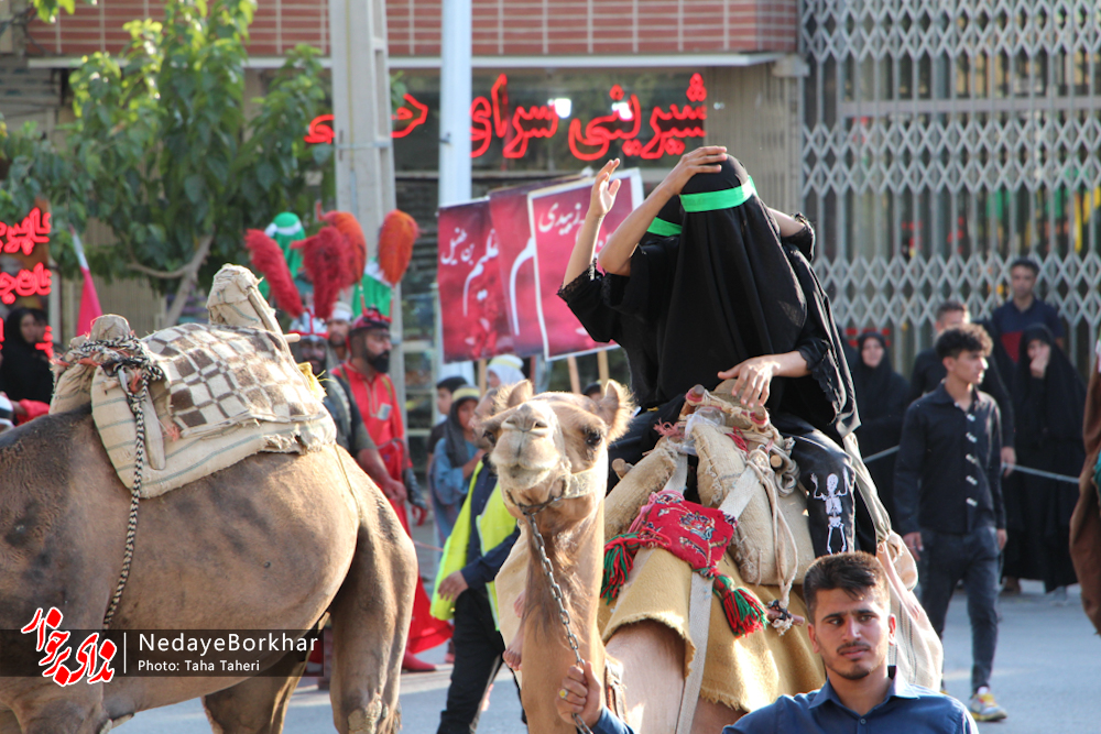 تصاویر | کاروان نمادین اسرای کربلا در دولت آباد