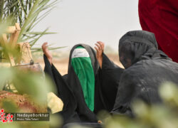تصاویر| کاروان نمادین اسرای کربلا در دولت آباد