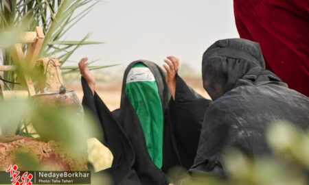 تصاویر| کاروان نمادین اسرای کربلا در دولت آباد