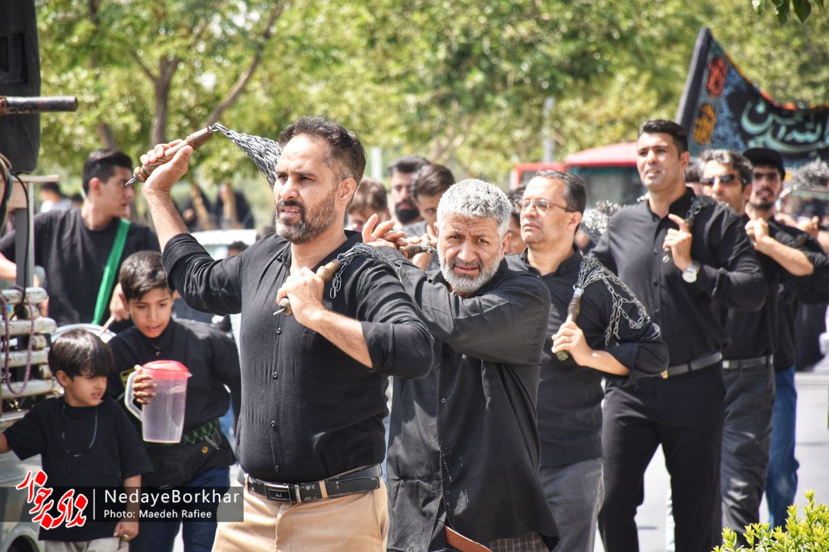 جاماندگان مشهدالرضا در جوار برادر امام هشتم دل سپردند+ فیلم