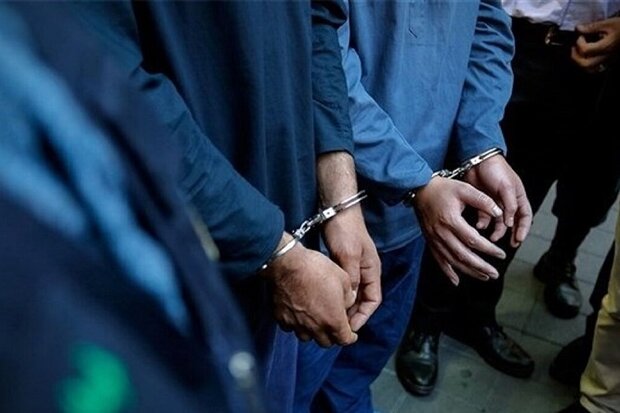 دستگیری ۲۹ سارق و کشف ۶۴ فقره سرقت در برخوار