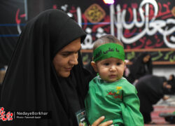 تصاویر| آیین شیرخوارگان حسینی در شهر حبیب آباد